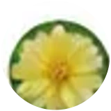 Phaikwei Ooi avatar
